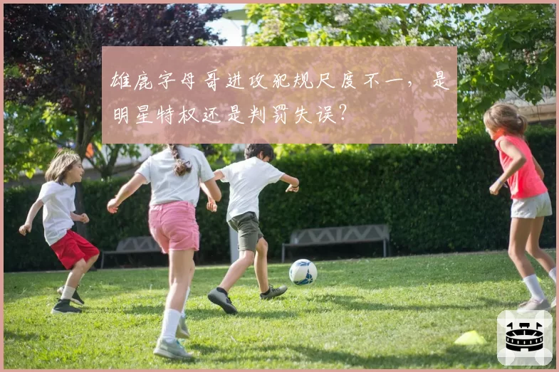 雄鹿字母哥进攻犯规尺度不一，是明星特权还是判罚失误？