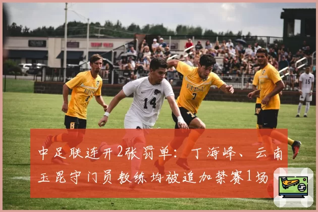 中足联连开2张罚单：丁海峰、云南玉昆守门员教练均被追加禁赛1场