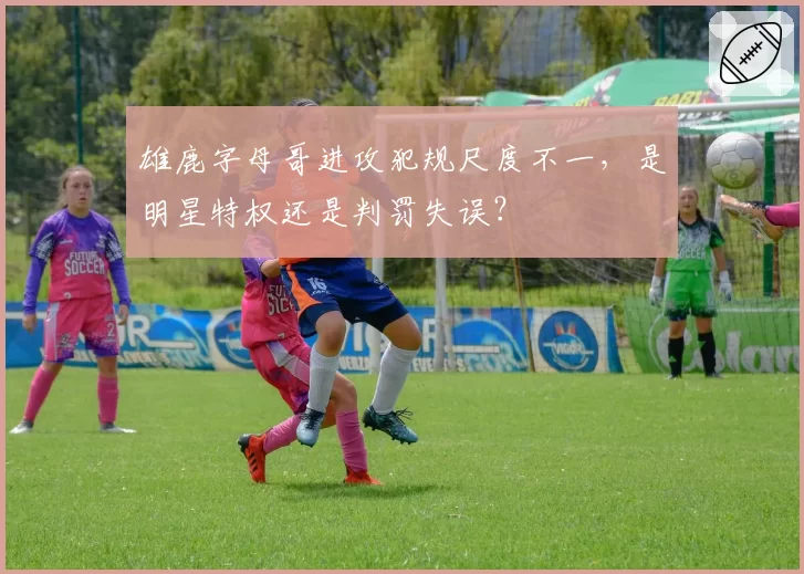 雄鹿字母哥进攻犯规尺度不一，是明星特权还是判罚失误？