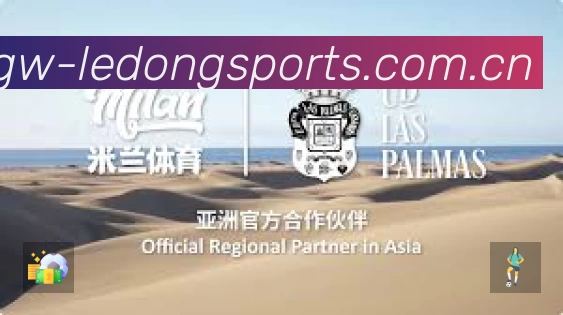 安全使用与支持流程